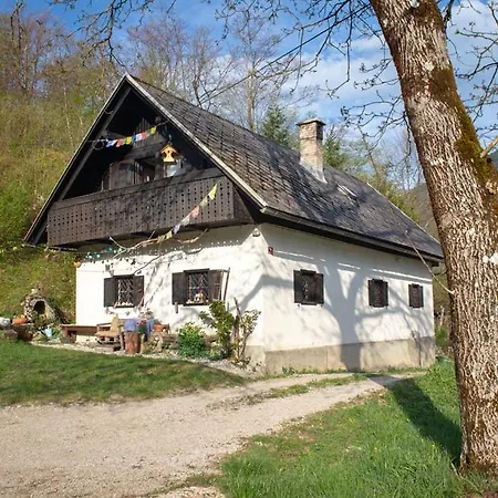 Ajdovska Pocitniska Hisa Počitniška hiša Bohinj